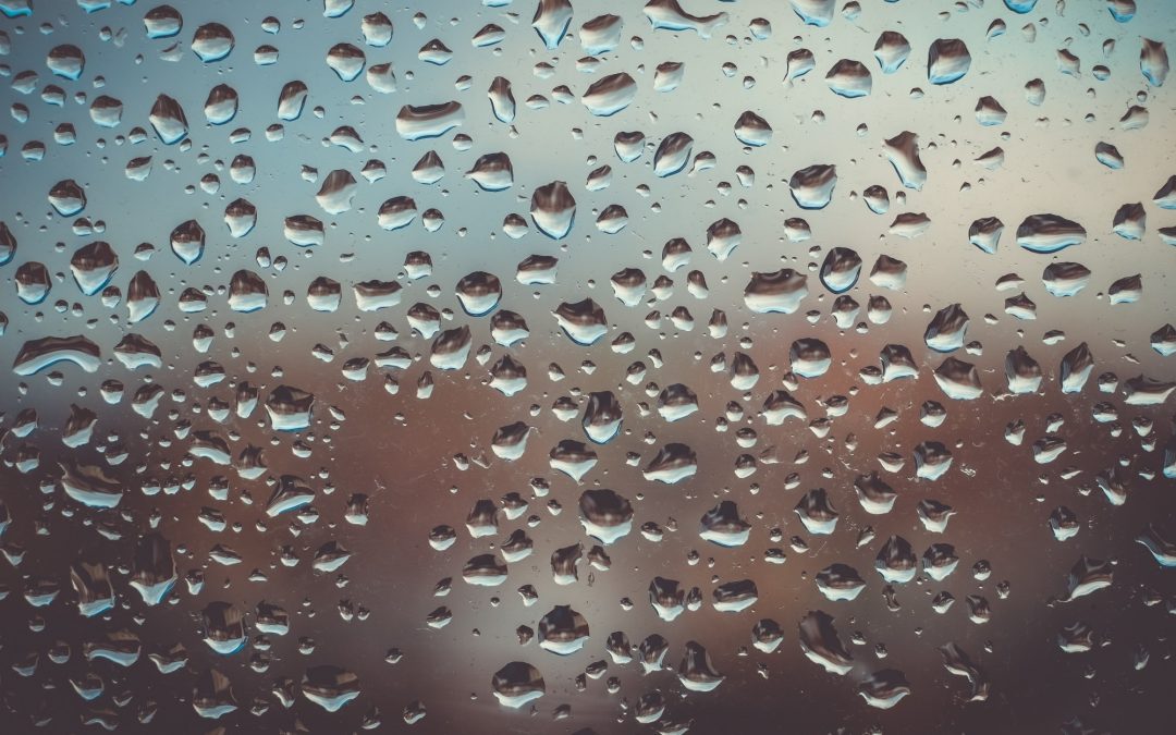 how to reduce humidity