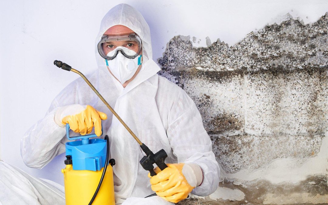can mold cause headaches