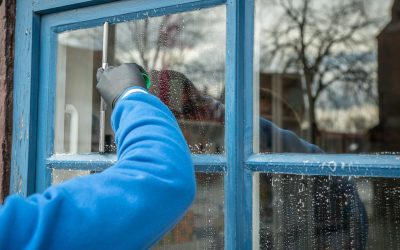 10 Tips to Prevent Mold