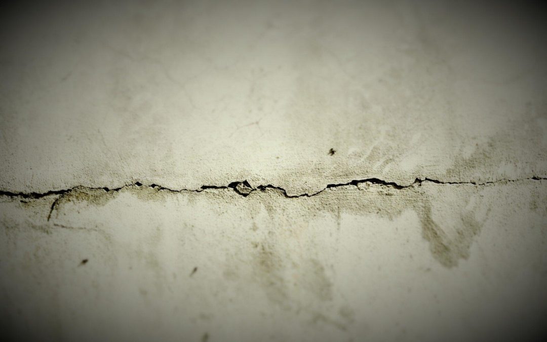 certified mold inspectors