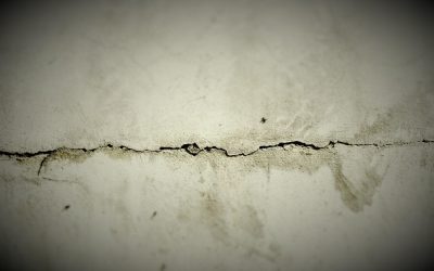 Top Questions to Ask Certified Mold Inspectors in Orlando, FL