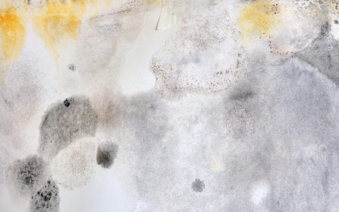 Home Hazards: Is Mold on Concrete Dangerous?