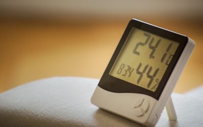 Can You Manage Home Humidity for Mold Growth?