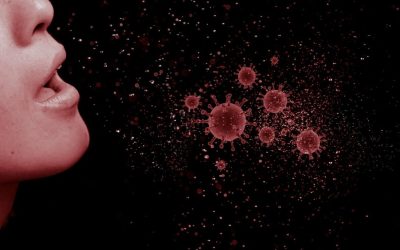 Airborne Mold: What It Is and Why You Should Be Concerned