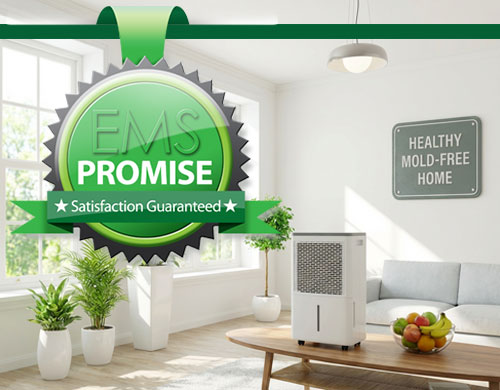 Elite Promise