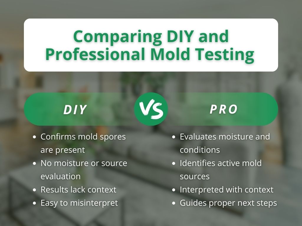 how professional vs diy mold testing compares