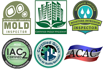 Elite 2026 Certifications