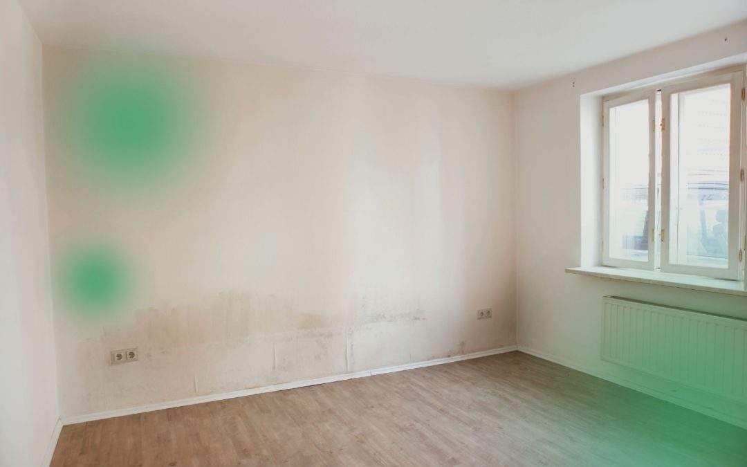 is mildew mold